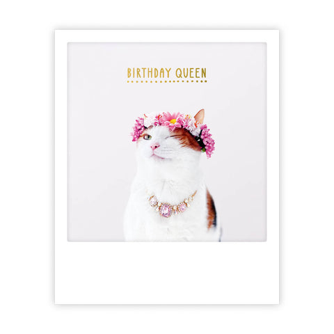 birthday queen cat