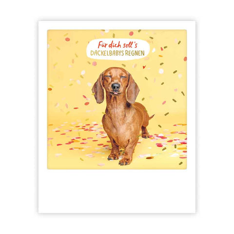 for you dachshund babies