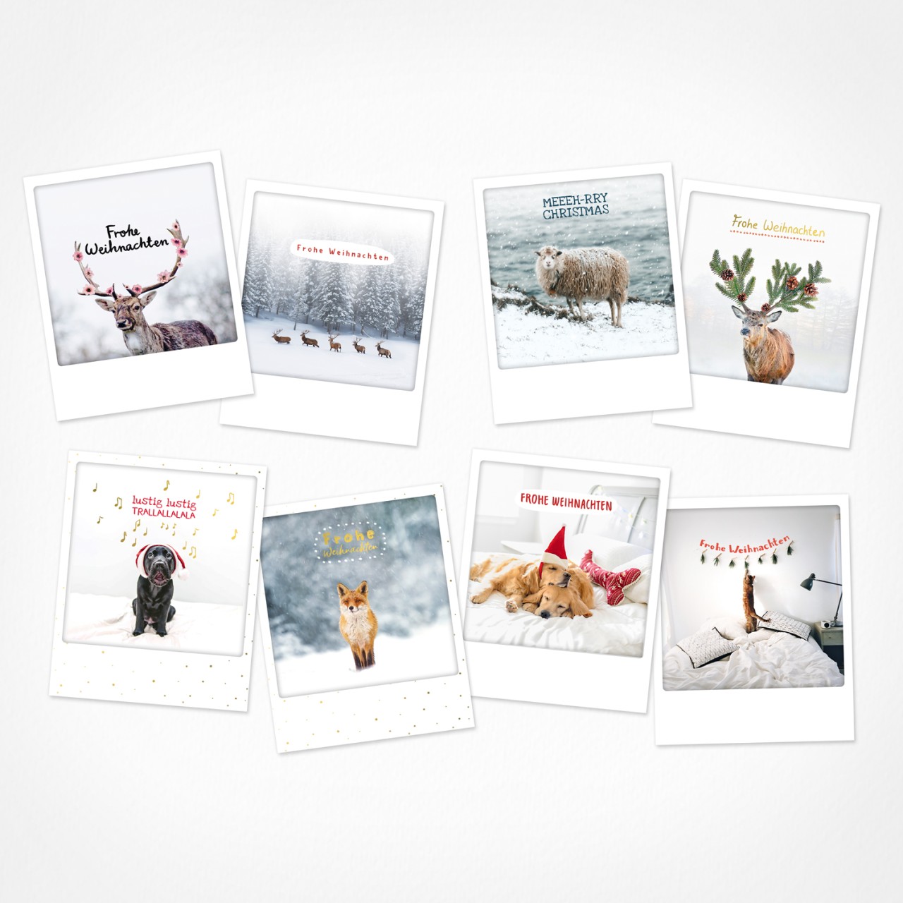 Weihnachtstiere | Weihnachtskarten | 8 Photo Postkarten