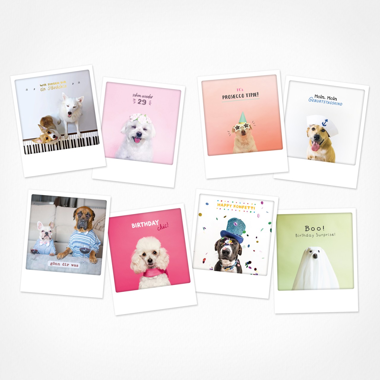 Doggos doing things | Postkarten Set | 8 Photo Postkarten
