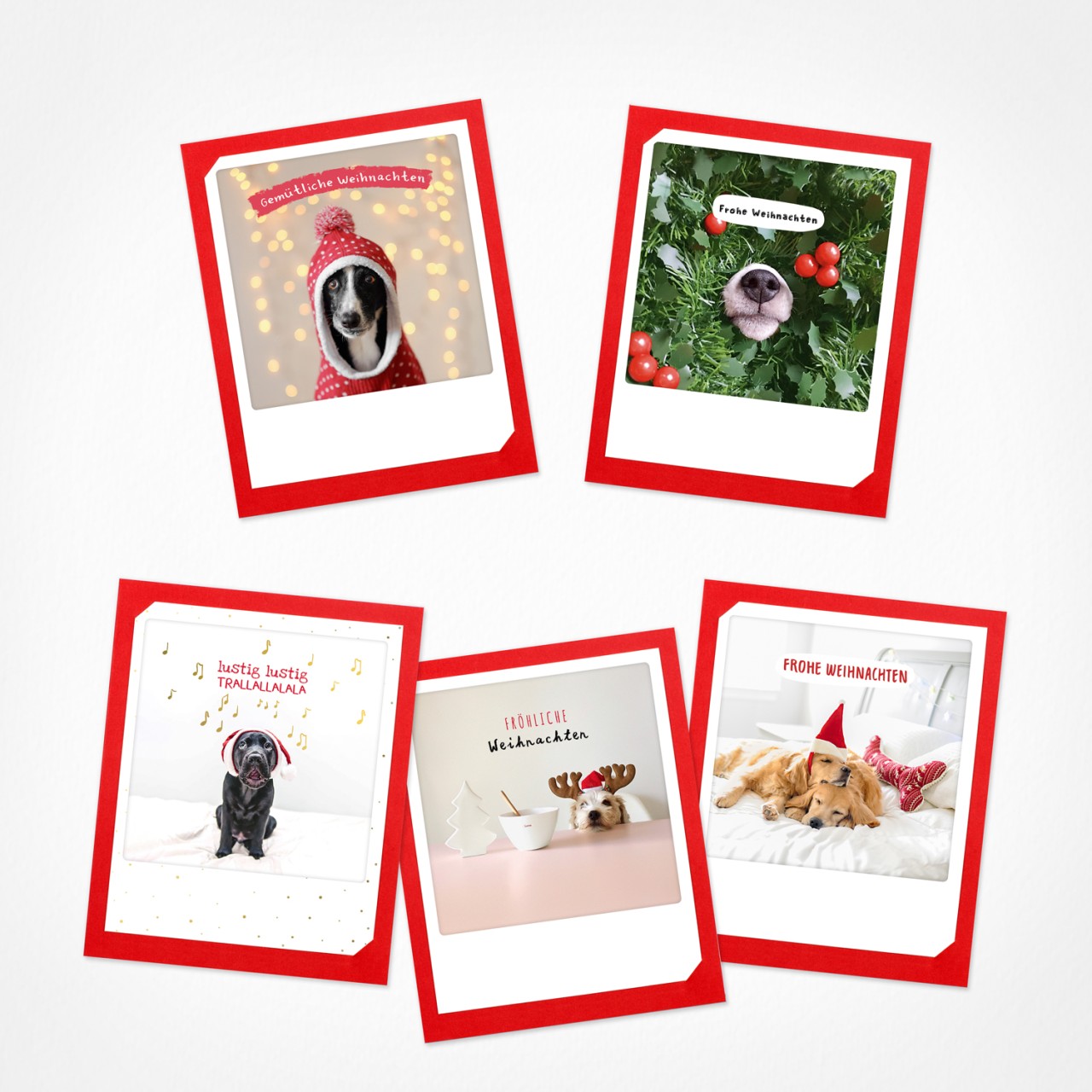 Dogs of Christmas | Weihnachtskarten | 5 Klappkarten