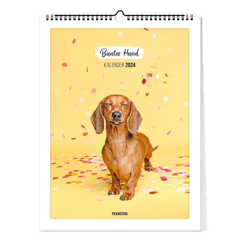 Bunter Hund - Kalender (Format 30x40)