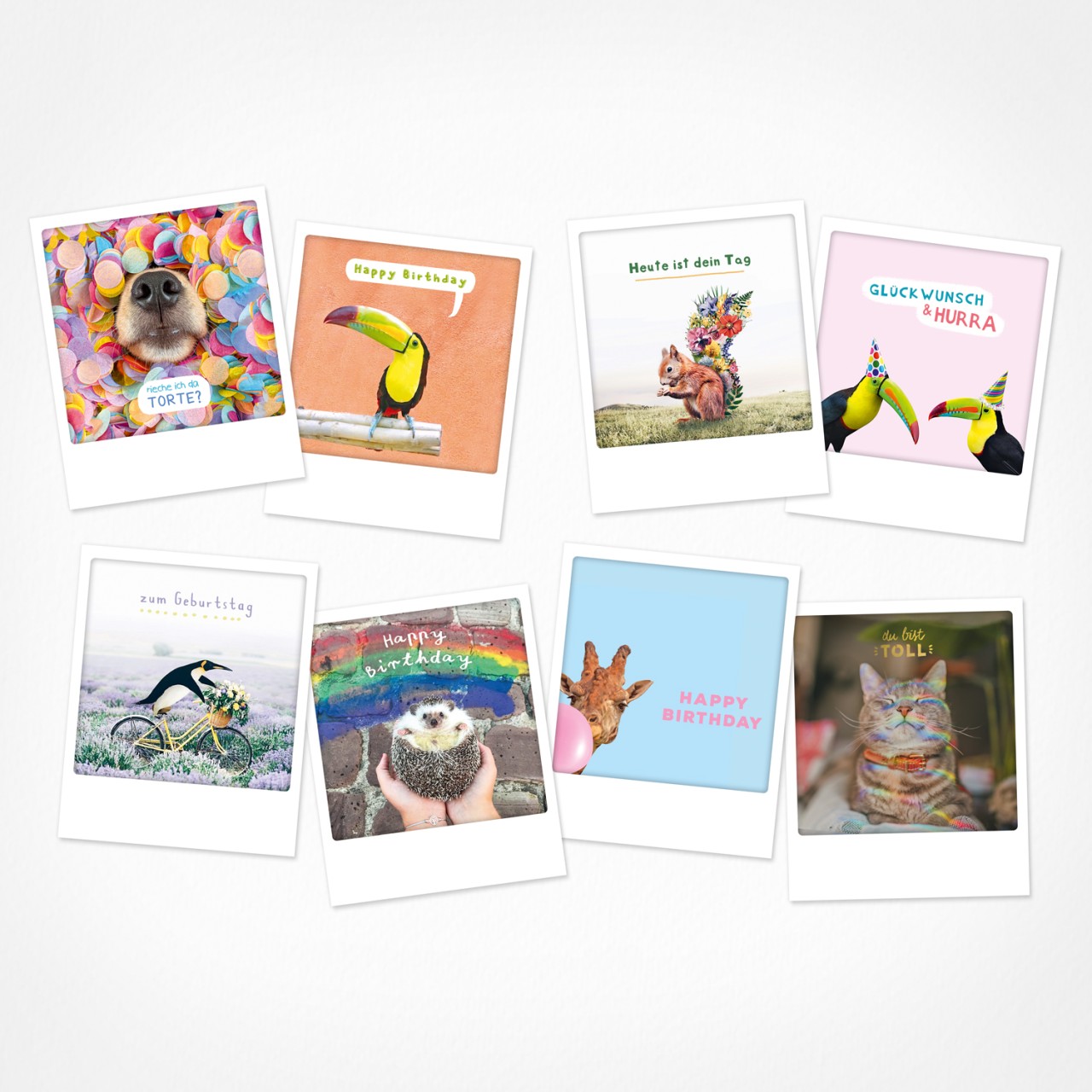 Funny Animals | Postkarten Set | 8 Photo Postkarten