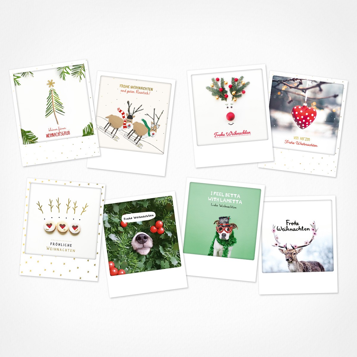 Tierisch gute Weihnachten | Weihnachtskarten Set | 8 Photo Postkarten