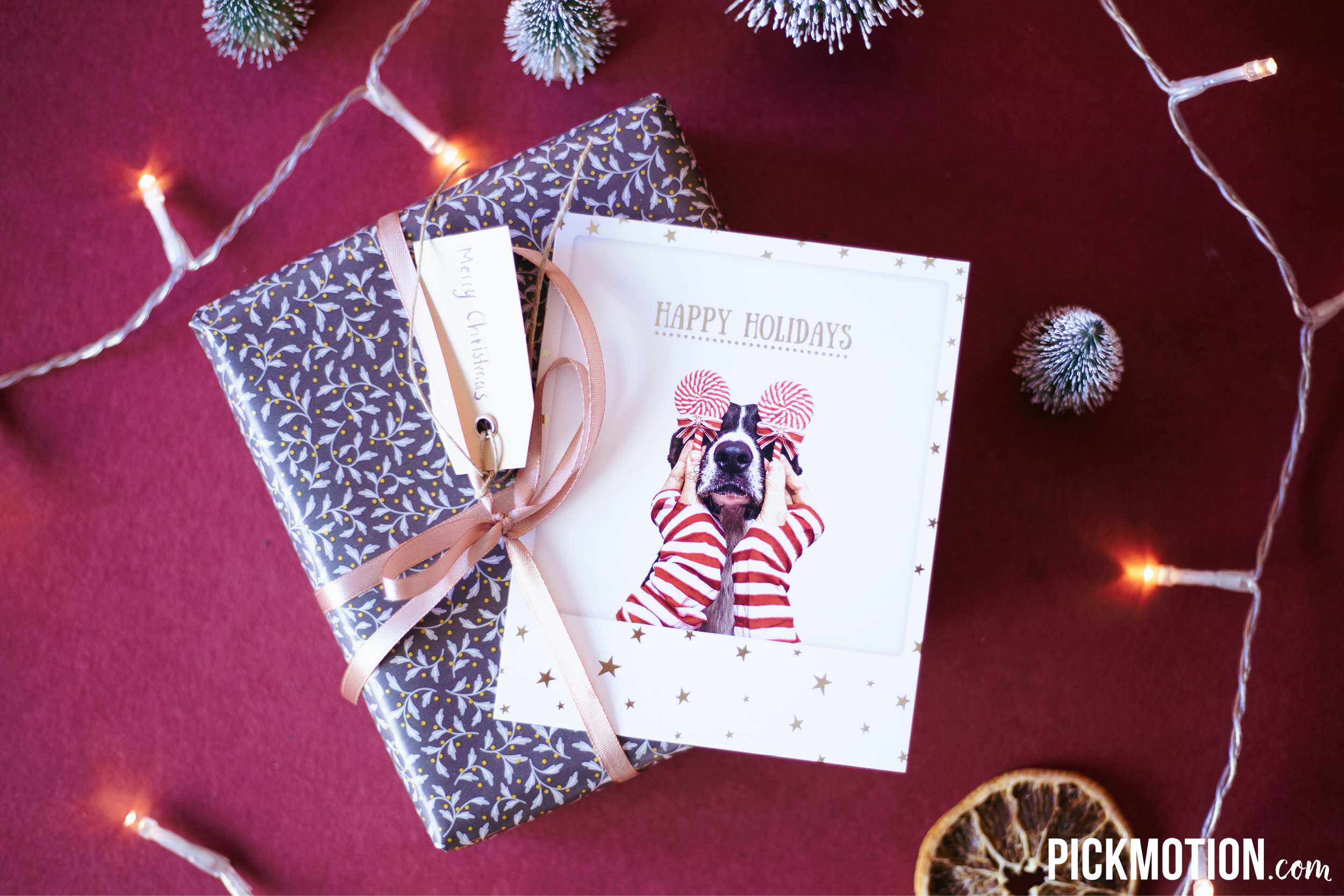 Pickmotion_Weihnachtskarten-Geschenk
