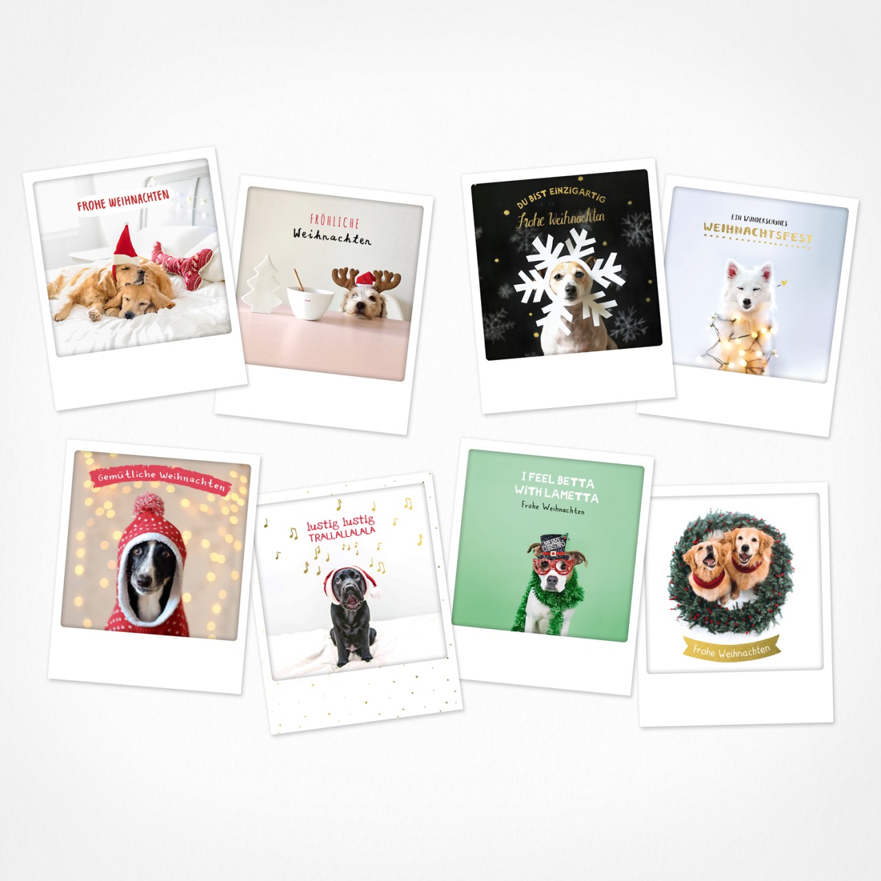 Dogs of Christmas | Weihnachtskarten | 8 Photo Postkarten