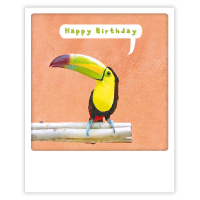 happy birthday toucan
