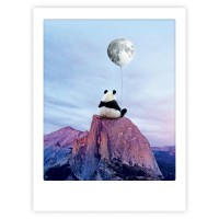 moon panda