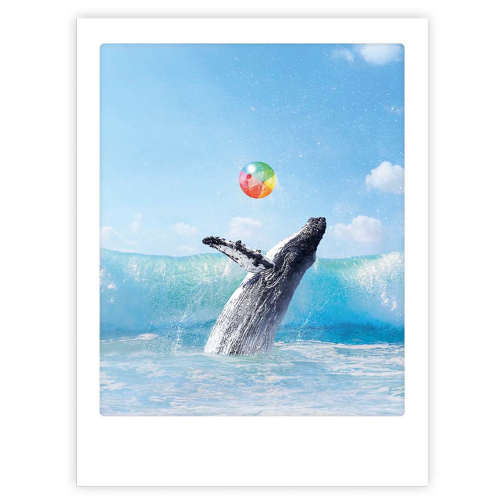 happy whale