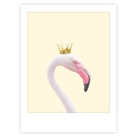 royal flamingo
