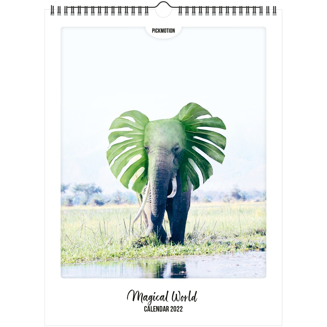 Magical World - Calendar (Format 30x40cm)