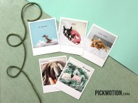 Postcards-of-the-monthcosy2