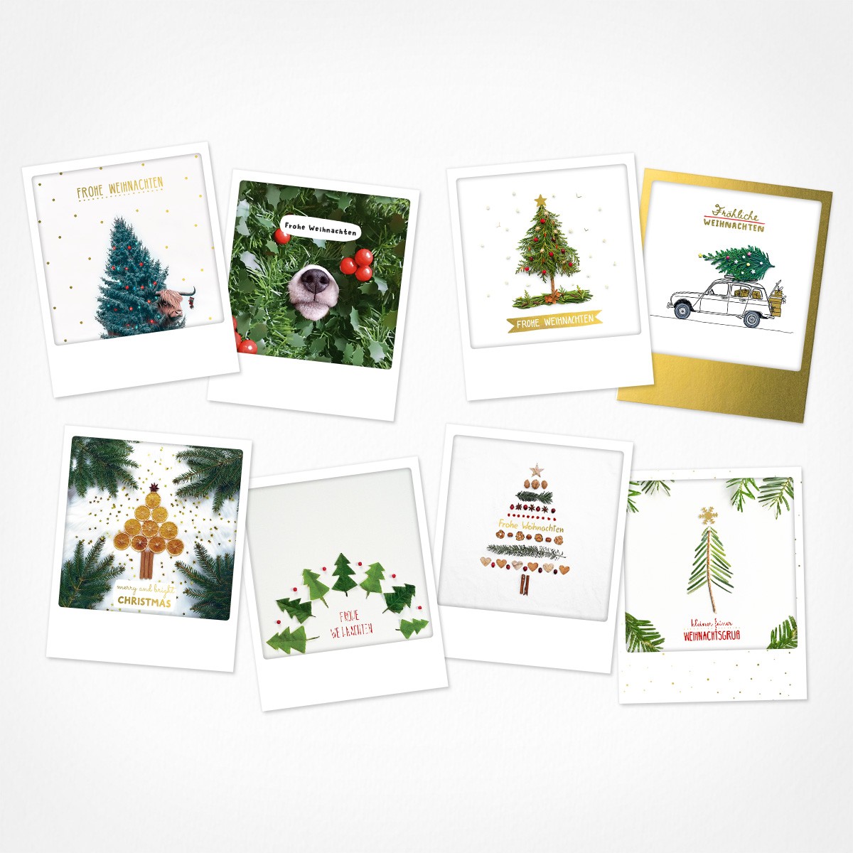 Oh Tannenbaum | Weihnachtskarten Set | 8 Photo Postkarten