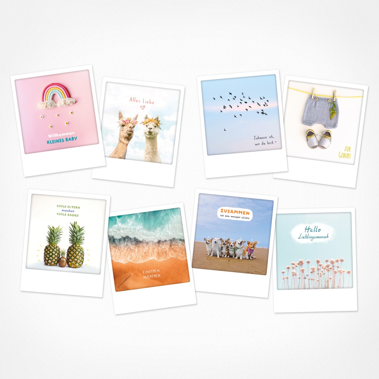 Hallo Lieblingsmensch | Postkarten Set | 8 Photo Postkarten