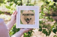 Pickmotion_Vivalawald-Plakette