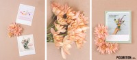 Header-Pickofthemonth-floral