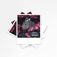 Happy Birthday Zebra | Postkarten Set | 10 Photo Postkarten