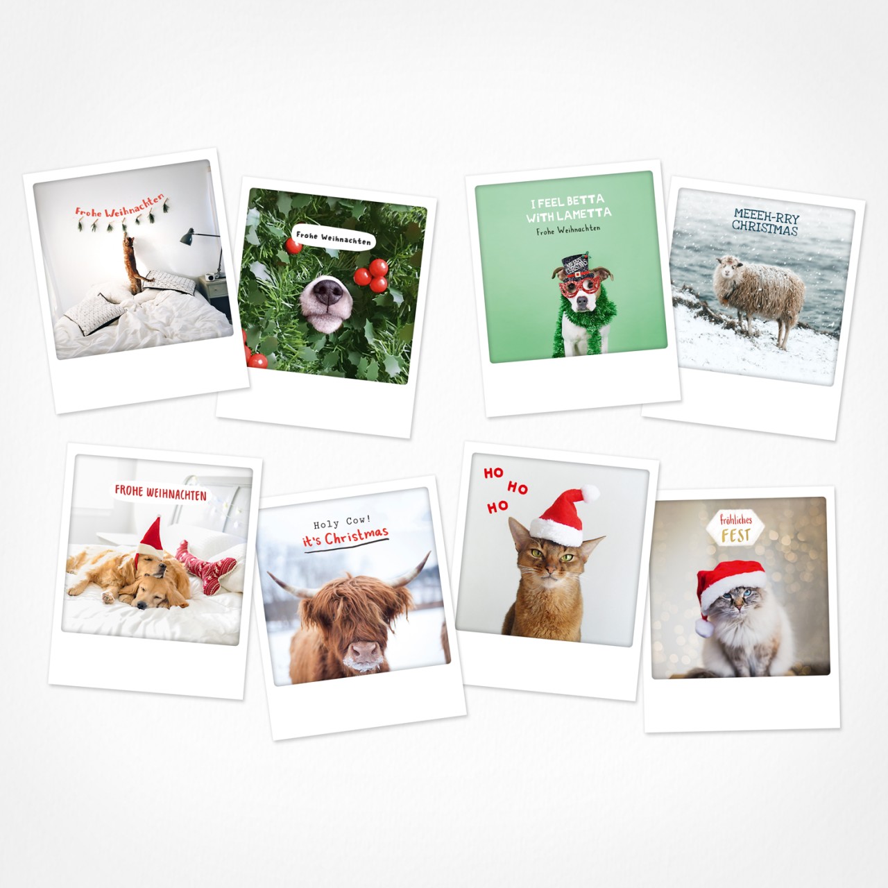 Tierisch schöne Weihnachten | Weihnachtskarten | 8 Photo Postkarten