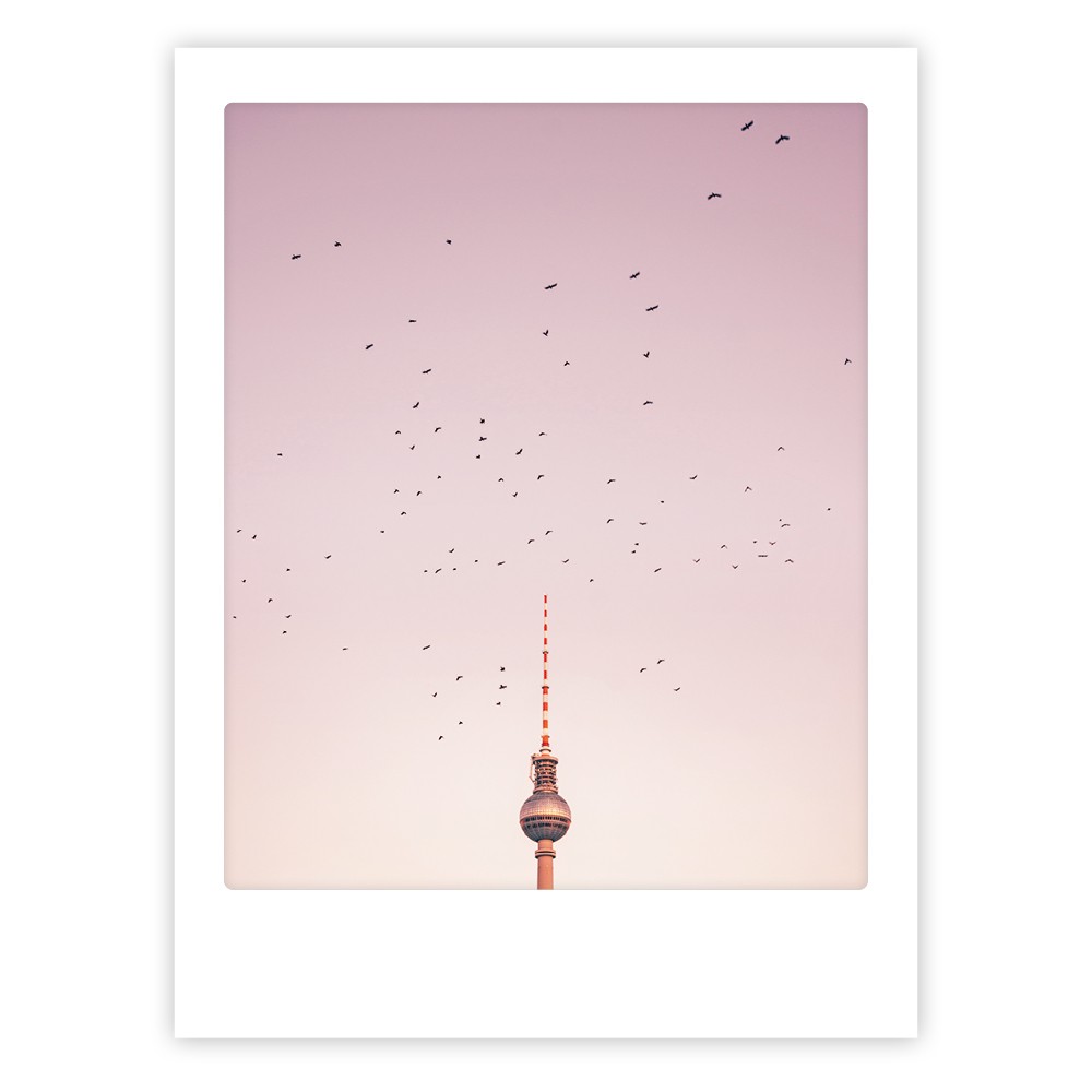 birds above berlin